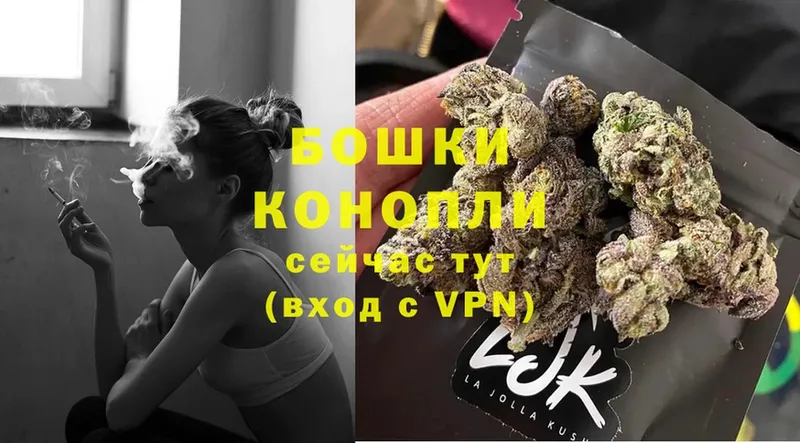 как найти закладки  Венёв  Канабис SATIVA & INDICA 